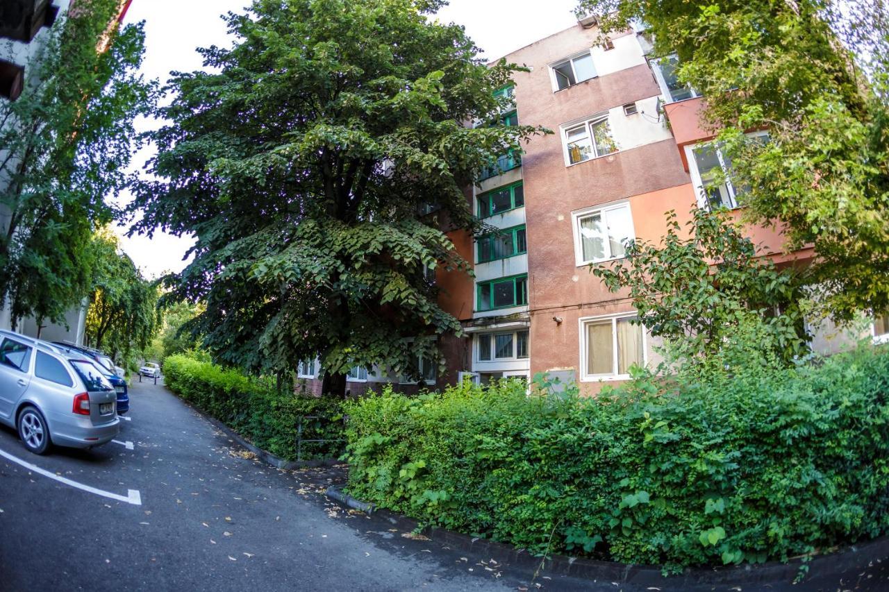 Apartament Family Rivulus 8 Baia Mare Exterior foto
